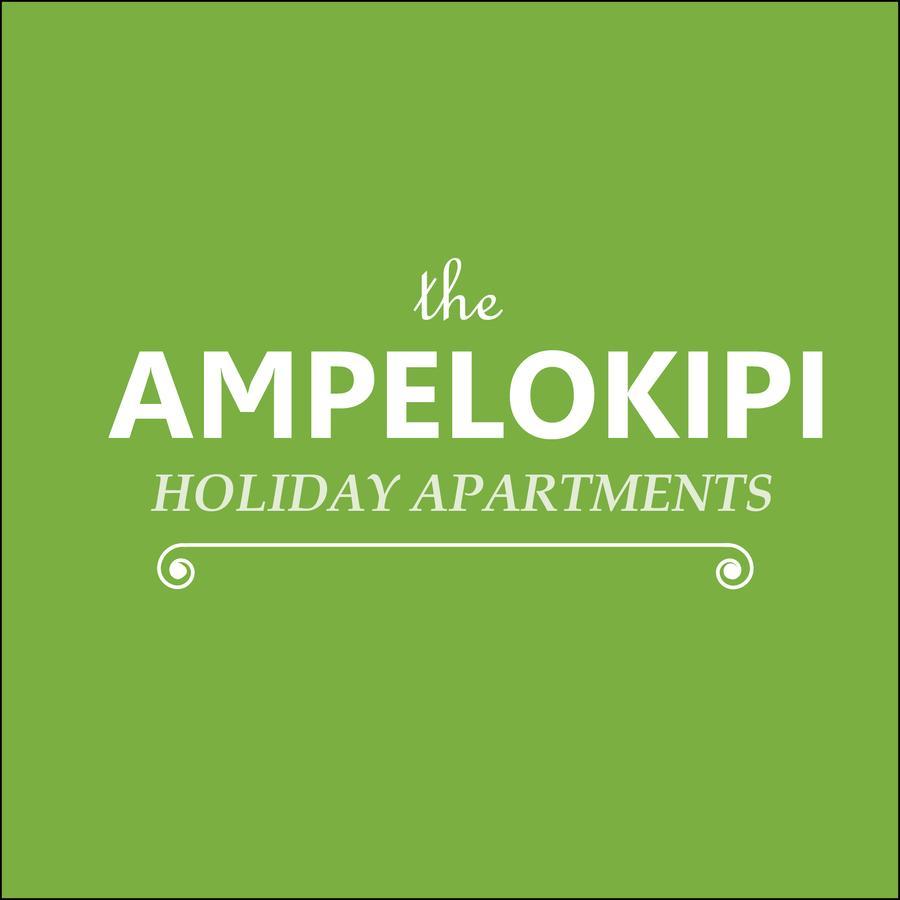 Ampelokipi Holiday Apartments ピッソウリ エクステリア 写真